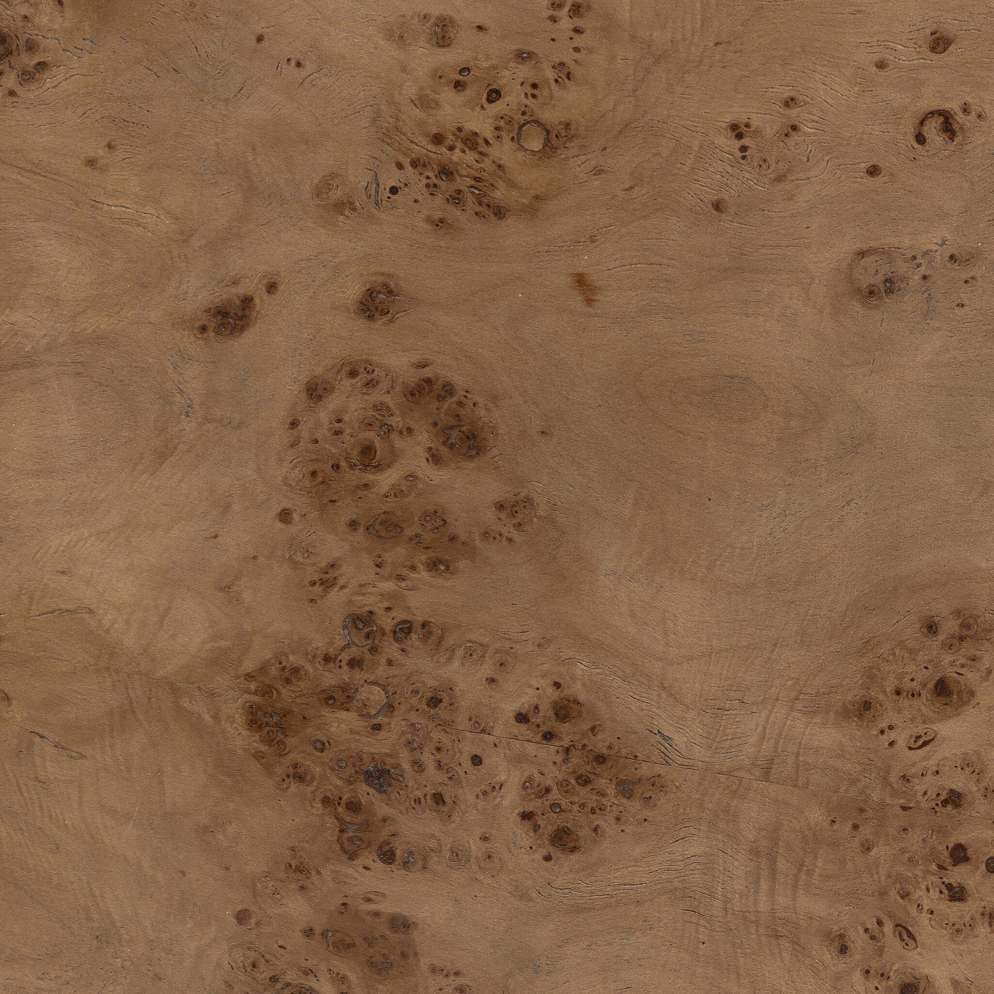 Caya Coffee Table - Caramel Burl