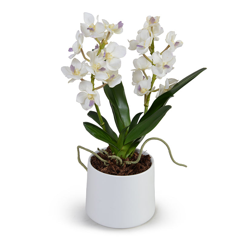 Vanda Orchid 16"H White Porcelain Vase