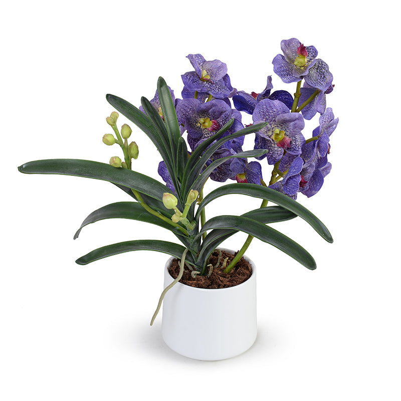 Vanda Orchids in Porcelain 17"H Purple / White Porcelain