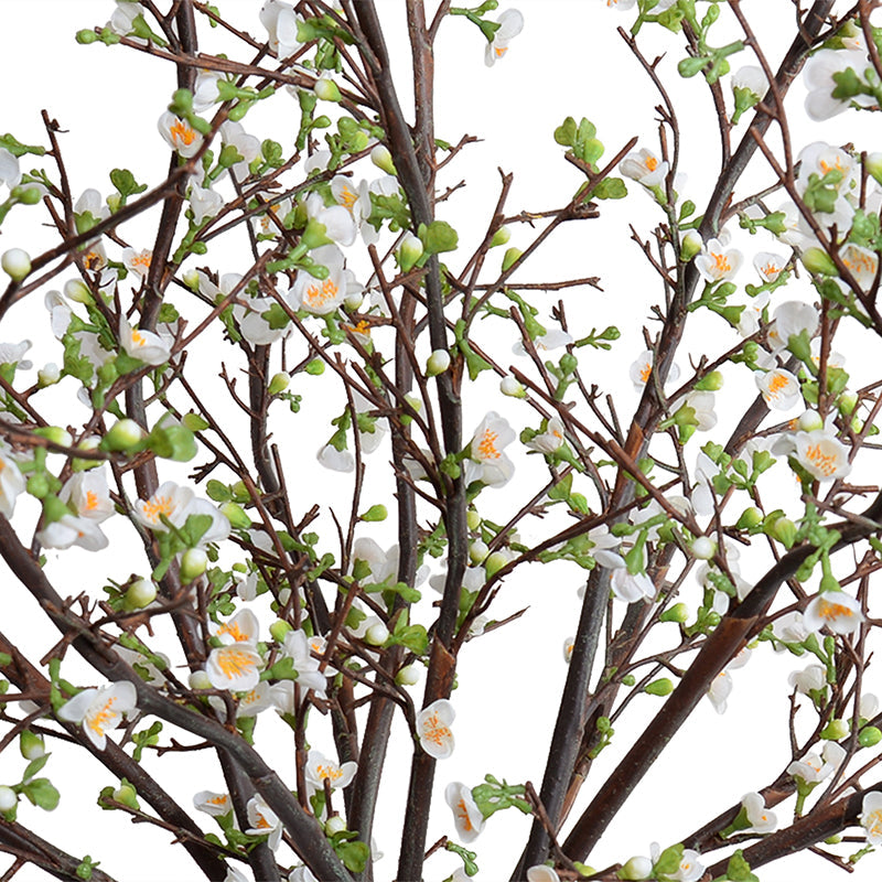 Quince Branches in Porcelain, 45"H Metallic Black Porcelain / Pink-peach