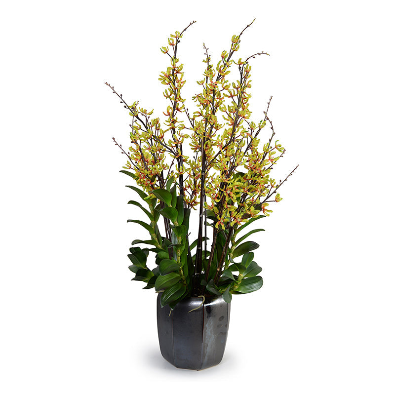 Aranda Orchids in Porcelain Green / 52"
