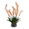 Spider Cattleya Orchid in Porcelain 54"H Metallic Black Porcelain
