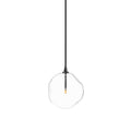 Glass Globe Pendant - Black Gunmetal