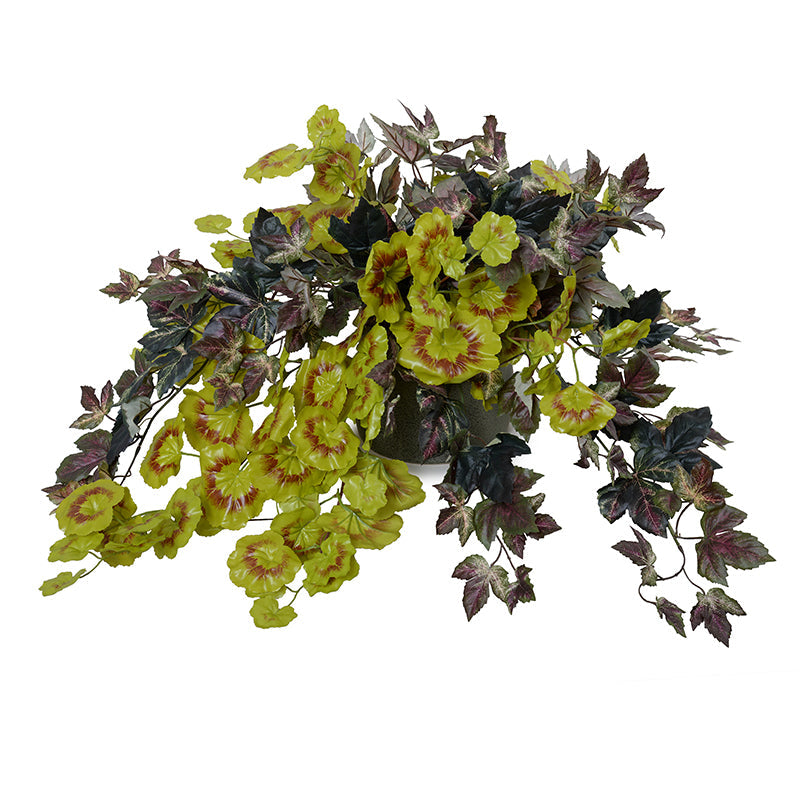 Ivy Plant in Porcelain 15"H Green Porcelain