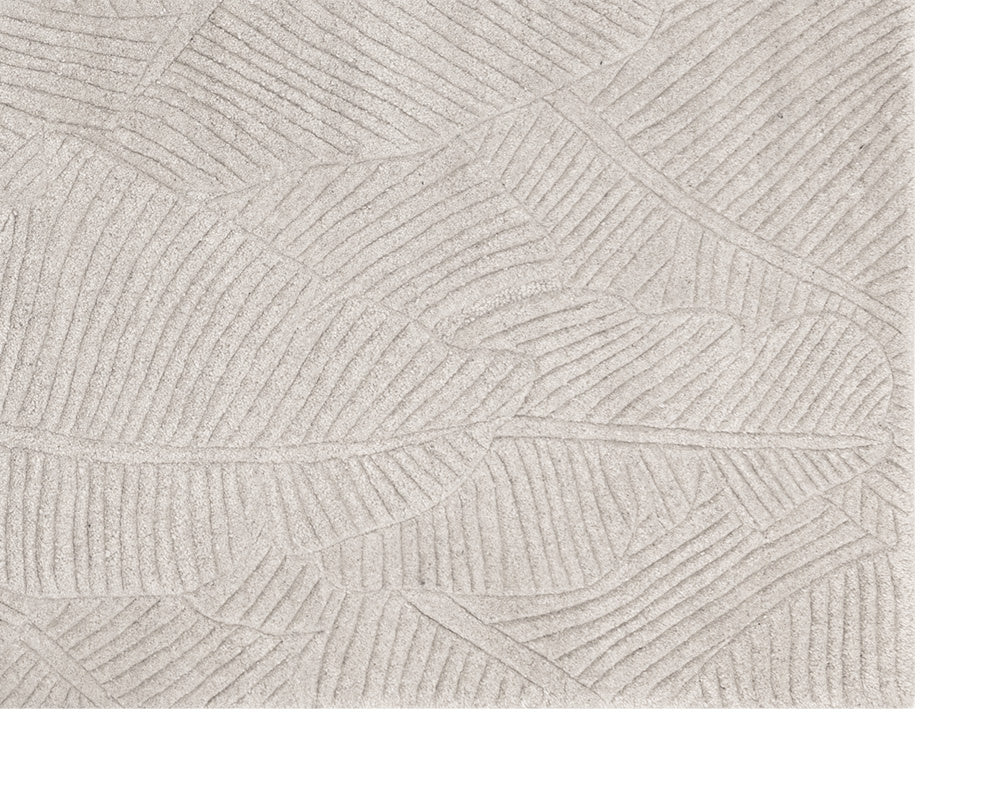 Calathea Hand-Tufted Rug - Oatmeal - 8' X 10'