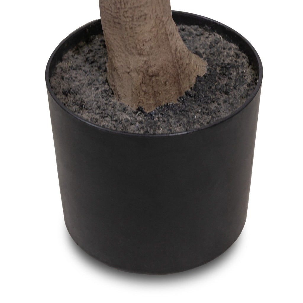 Faux Aralia Tree - Faux Aralia Tree | 8'