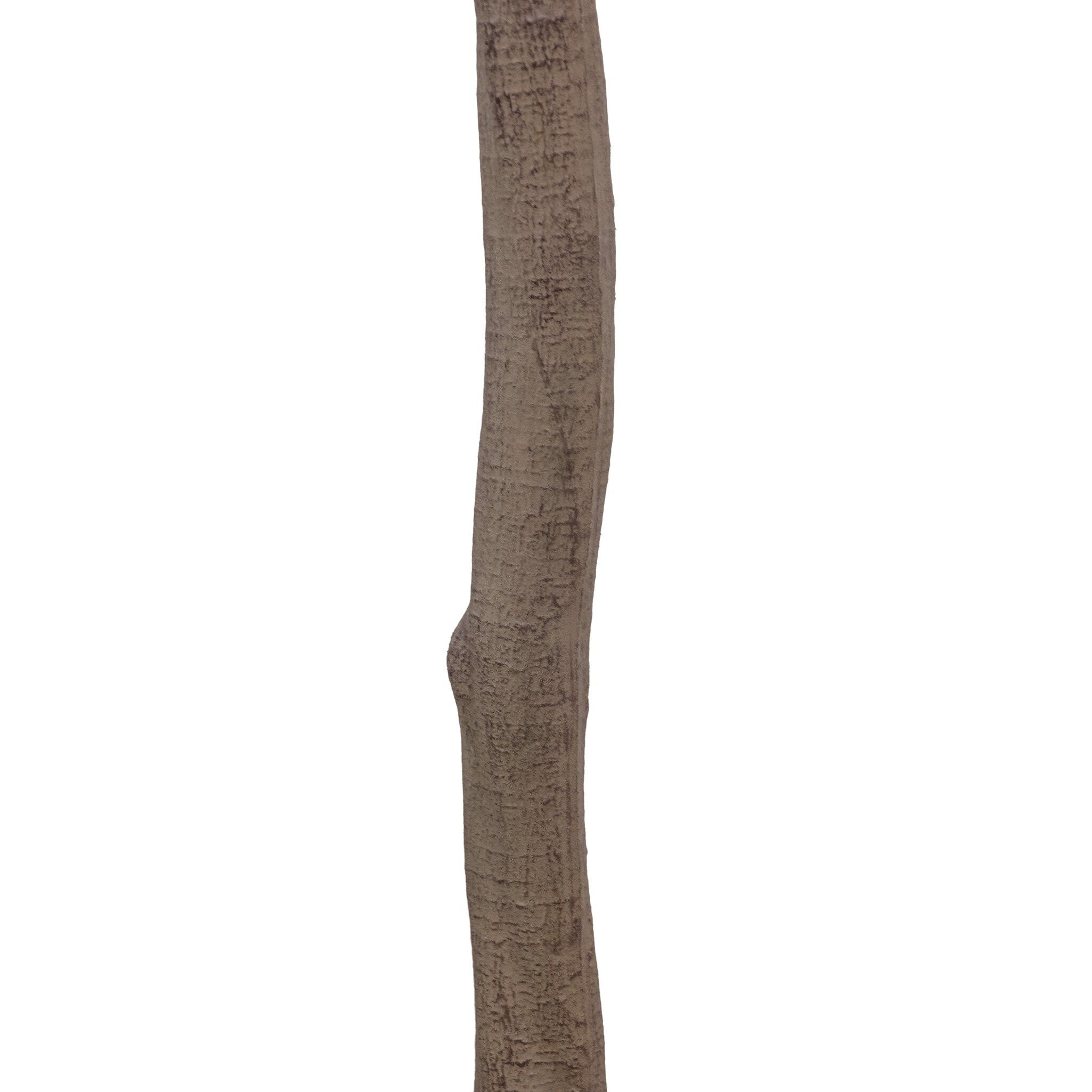 Faux Aralia Tree - Faux Aralia Tree | 8'