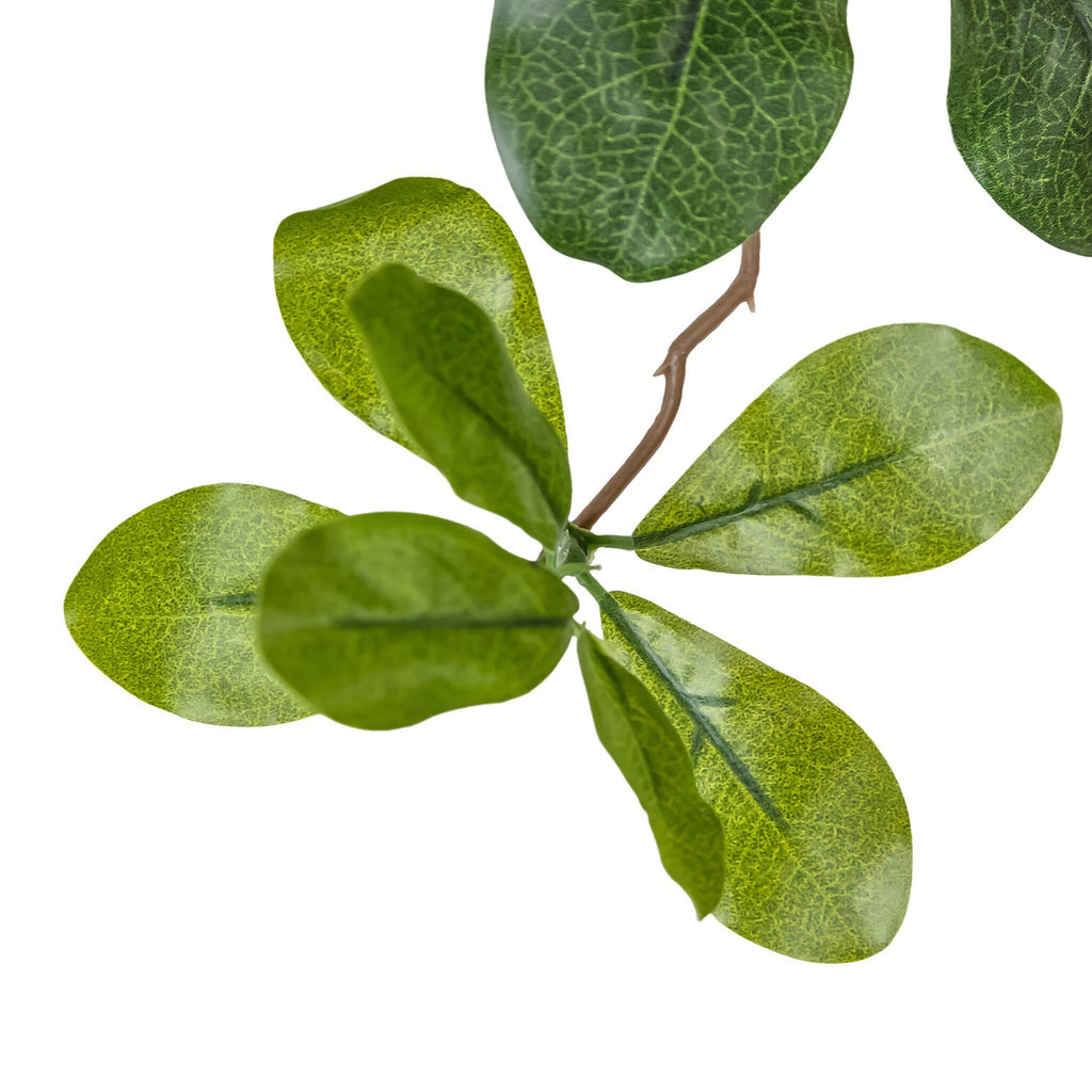 Faux Aralia Tree - Faux Aralia Tree | 8'
