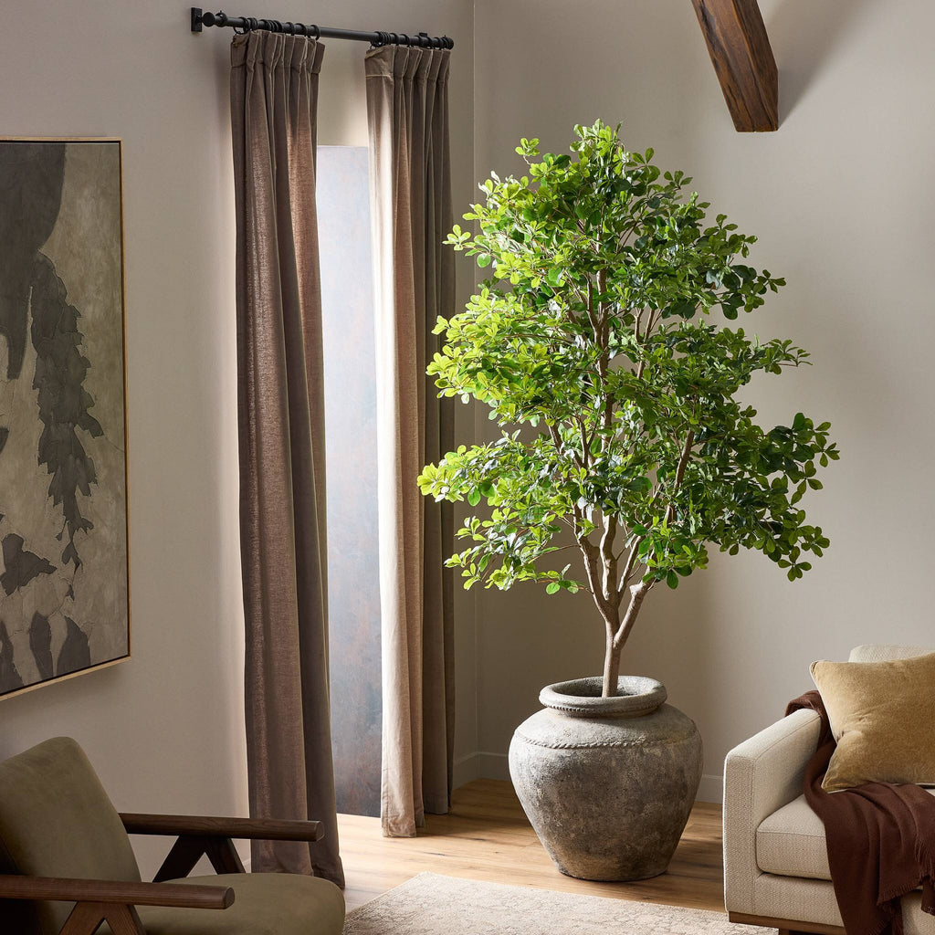 Faux Aralia Tree - Faux Aralia Tree | 8'