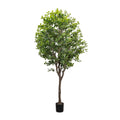 Faux Aralia Tree - Faux Aralia Tree | 8'