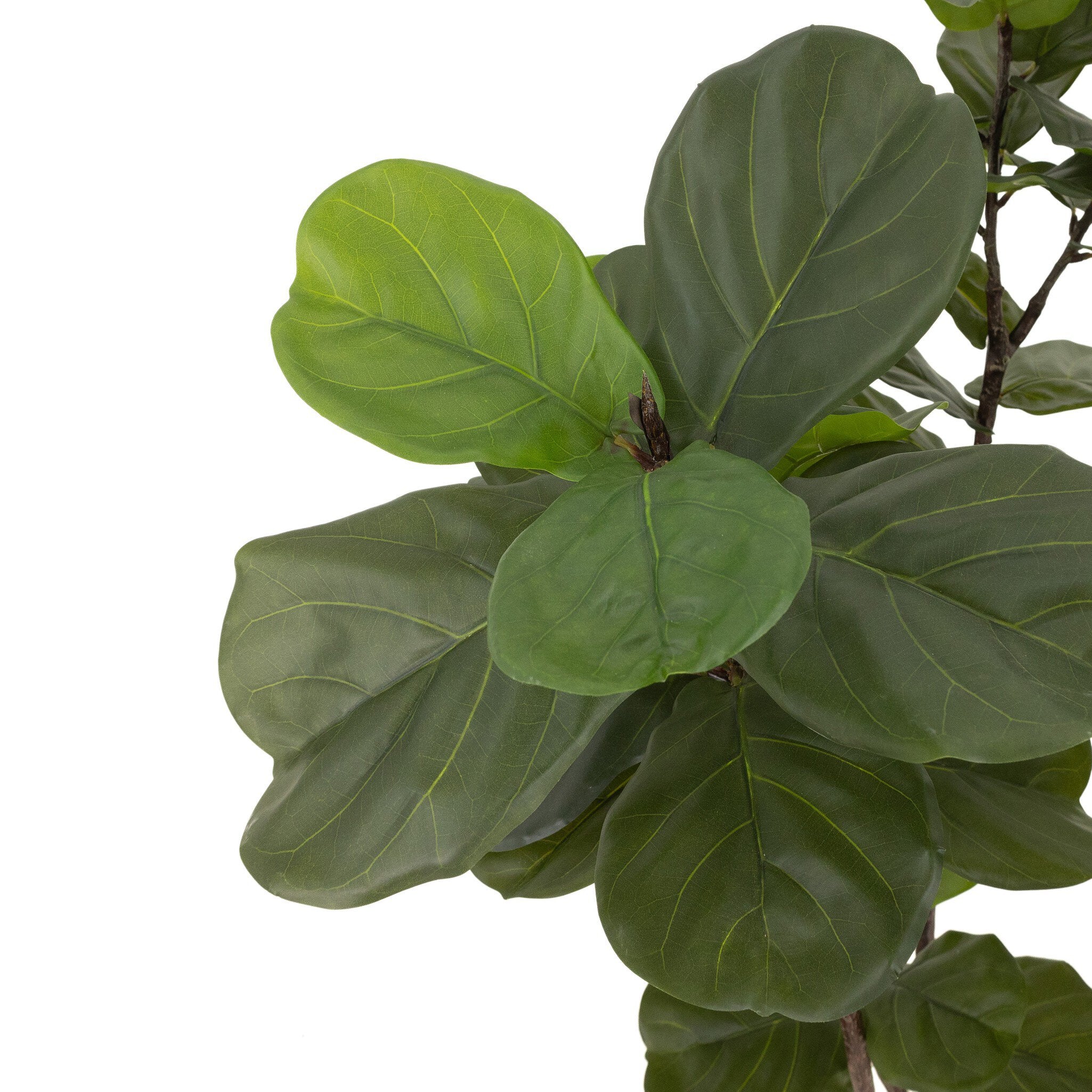 Faux Fiddle Leaf Tree - Faux Fiddle Leaf Tree | 7'