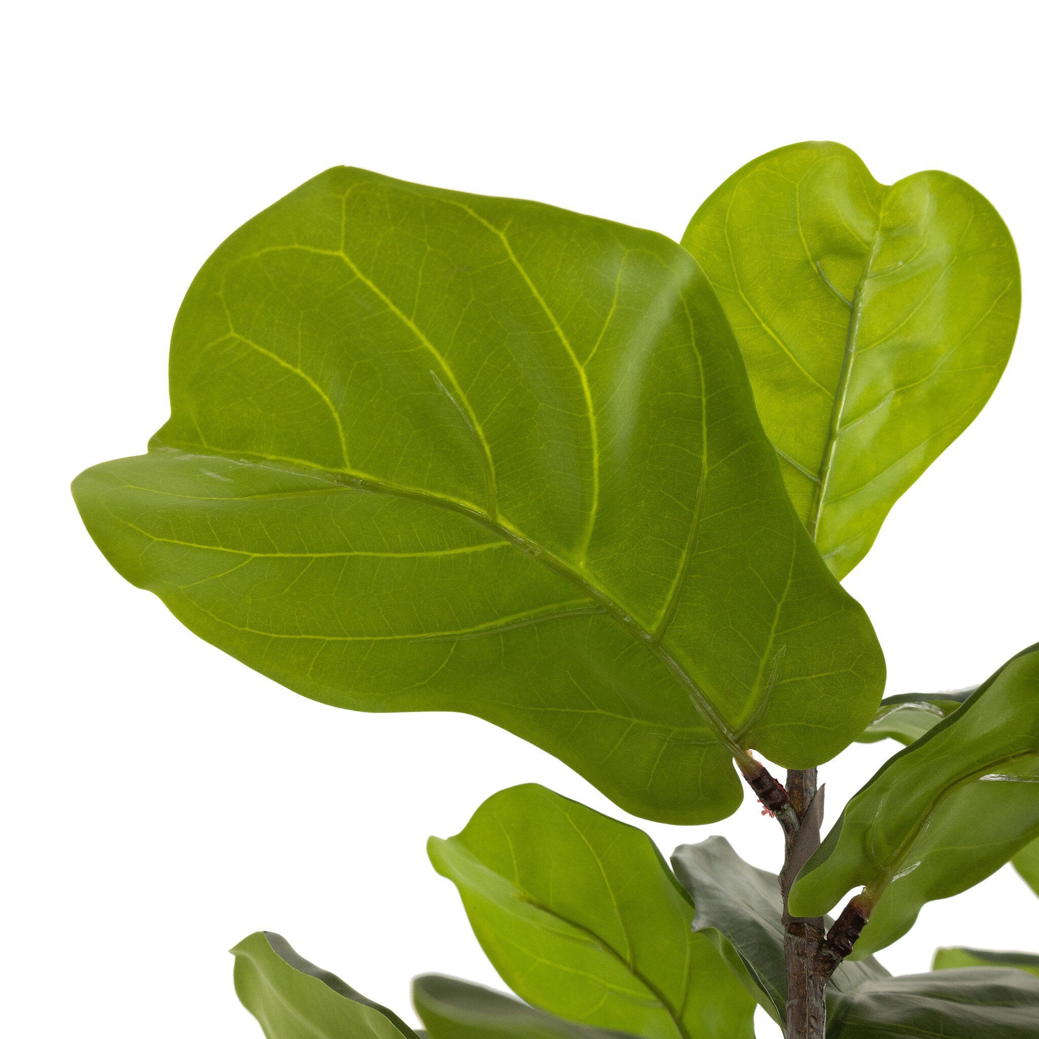 Faux Fiddle Leaf Tree - Faux Fiddle Leaf Tree | 7'