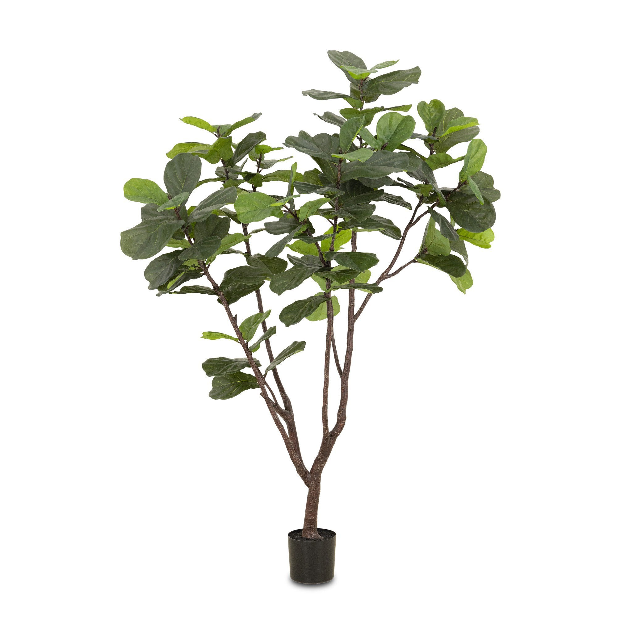 Faux Fiddle Leaf Tree - Faux Fiddle Leaf Tree | 7'