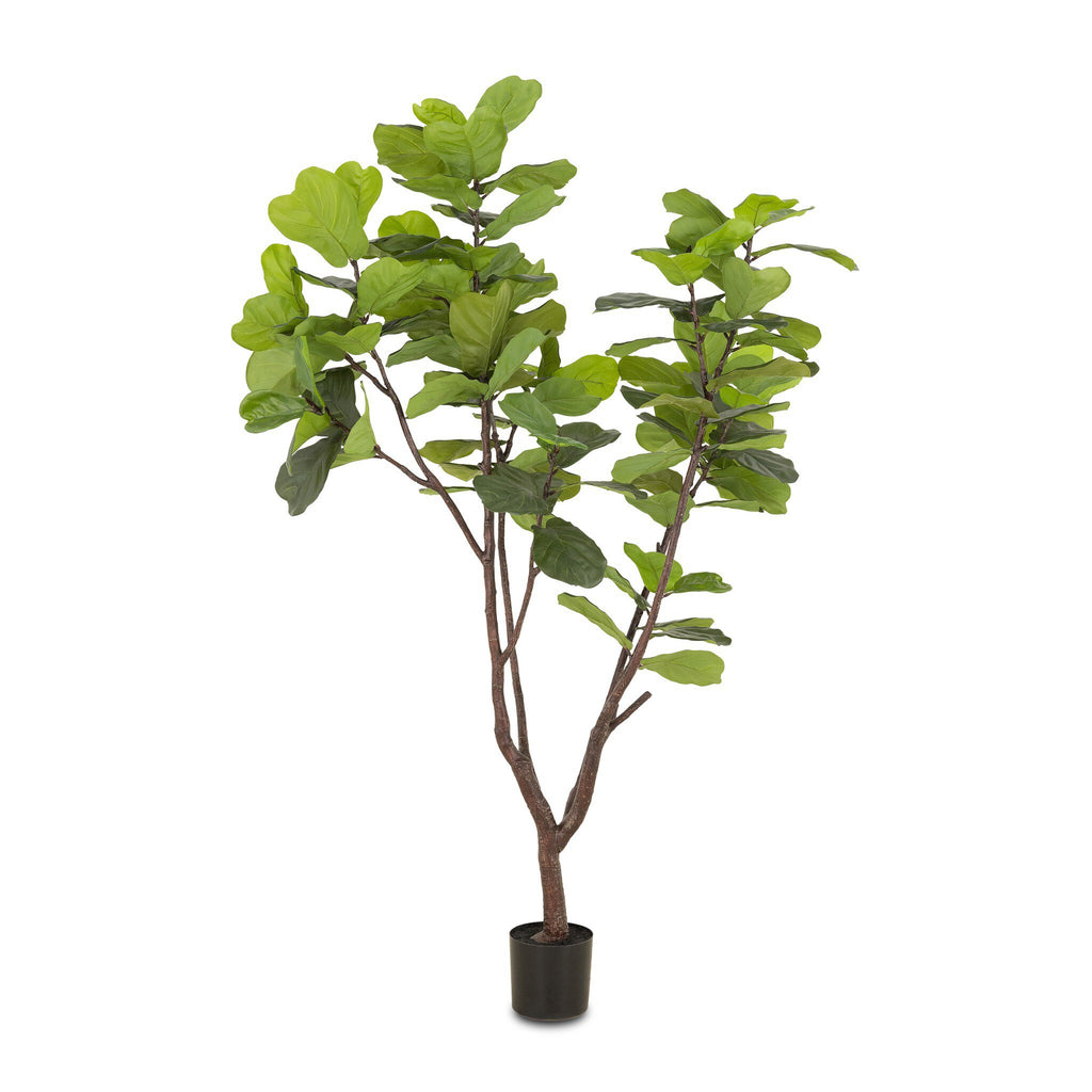 Faux Fiddle Leaf Tree - Faux Fiddle Leaf Tree | 7'