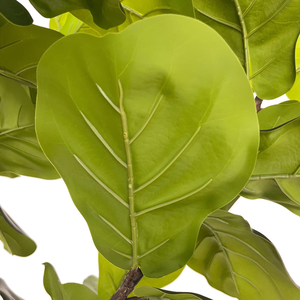 Faux Fiddle Leaf Tree - Faux Fiddle Leaf Tree | 9'
