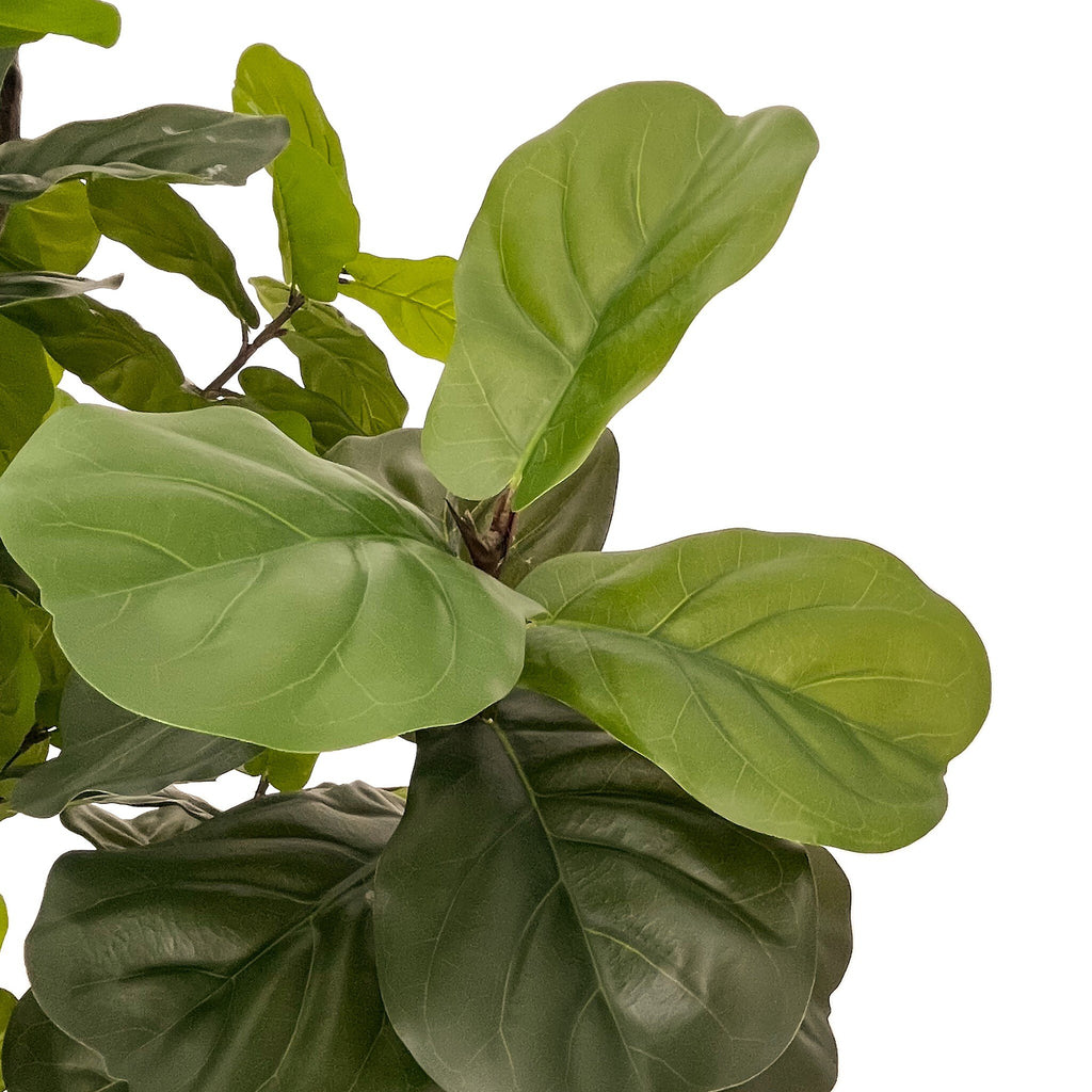 Faux Fiddle Leaf Tree - Faux Fiddle Leaf Tree | 9'