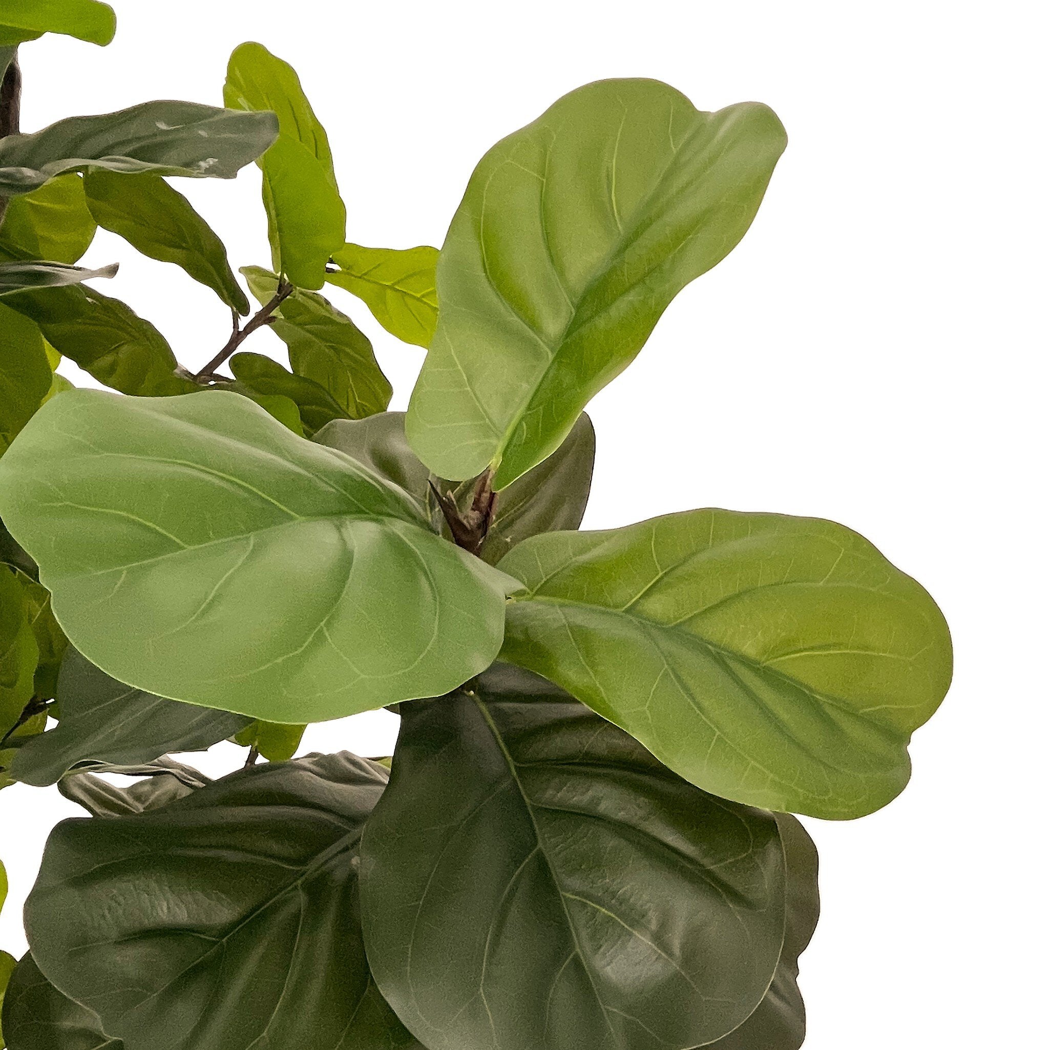 Faux Fiddle Leaf Tree - Faux Fiddle Leaf Tree | 9'