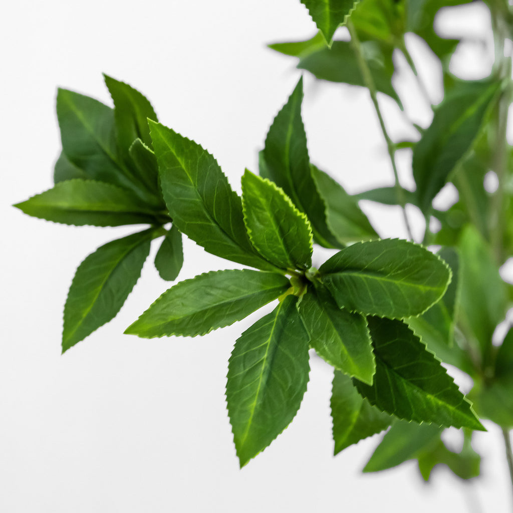Faux Pieris Tree - Faux Pieris Tree | 8'