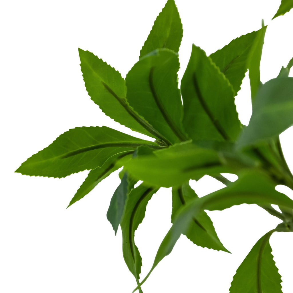 Faux Pieris Tree - Faux Pieris Tree | 8'