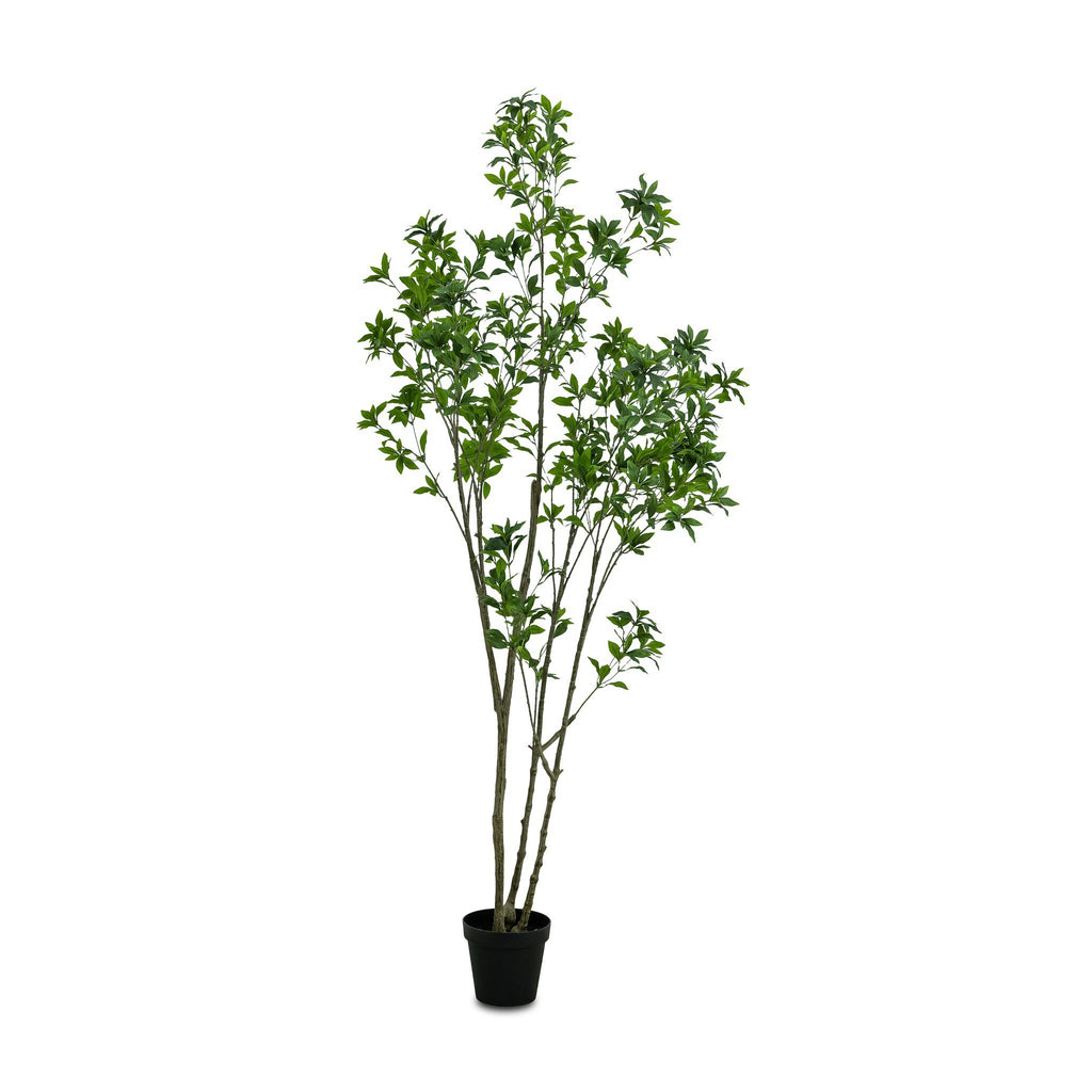 Faux Pieris Tree - Faux Pieris Tree | 8'