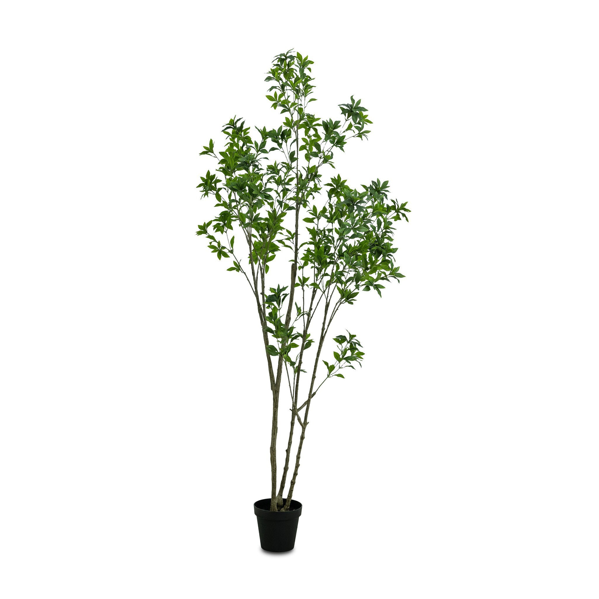Faux Pieris Tree - Faux Pieris Tree | 8'