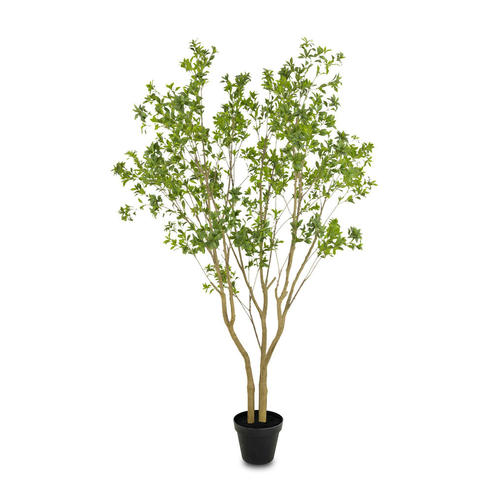 Faux Pieris Tree - Faux Pieris Tree | 9.5'