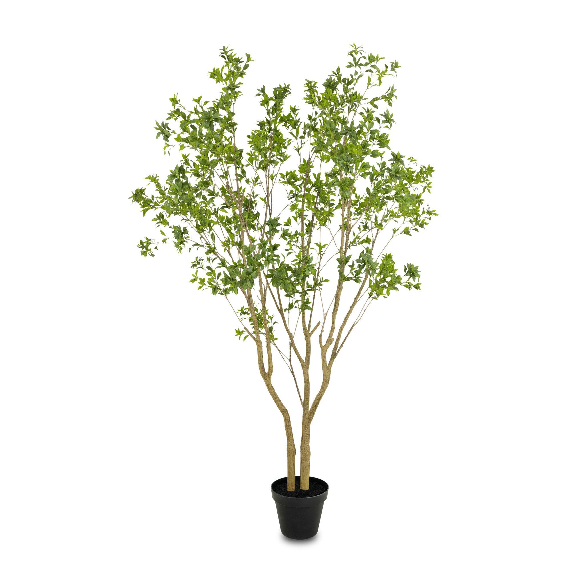 Faux Pieris Tree - Faux Pieris Tree | 9.5'