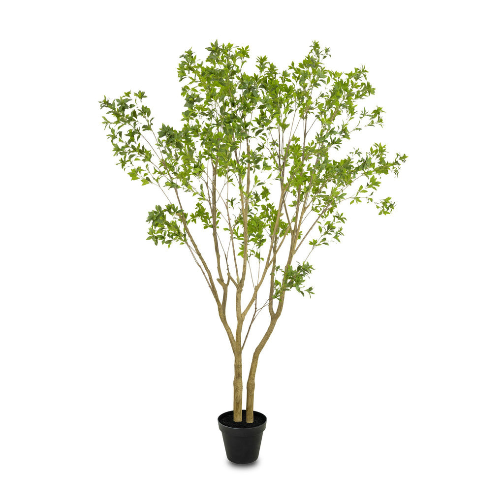 Faux Pieris Tree - Faux Pieris Tree | 9.5'