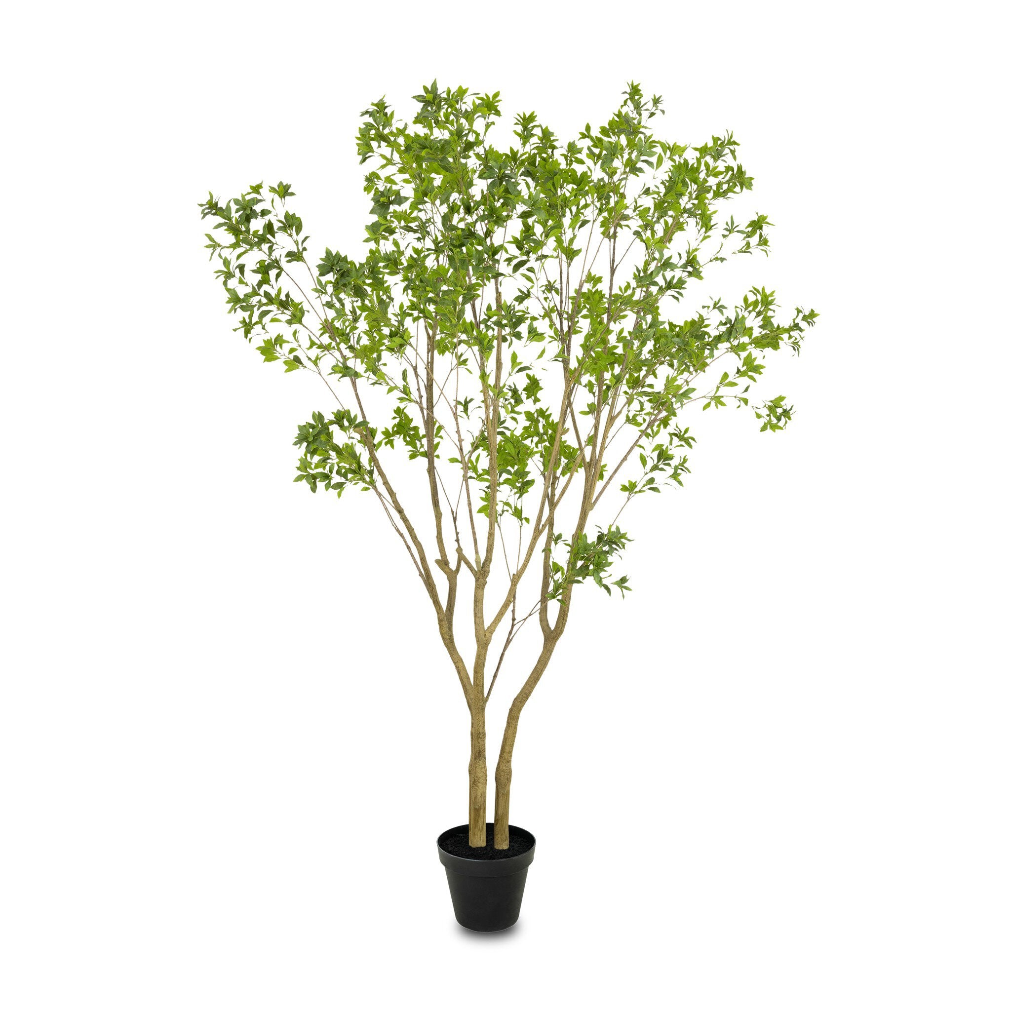 Faux Pieris Tree - Faux Pieris Tree | 9.5'