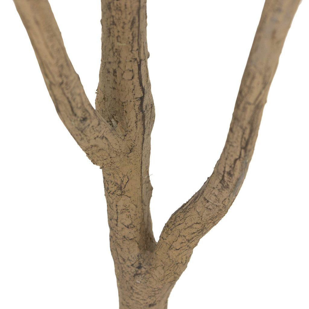 Faux Eucalyptus Tree - Faux Eucalyptus Tree | 7'
