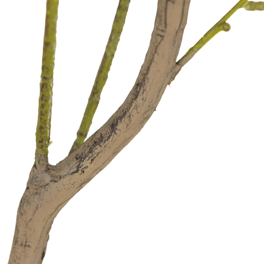 Faux Eucalyptus Tree - Faux Eucalyptus Tree | 7'