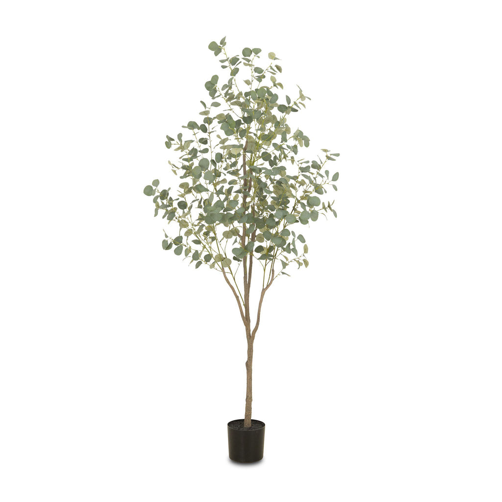 Faux Eucalyptus Tree - Faux Eucalyptus Tree | 7'