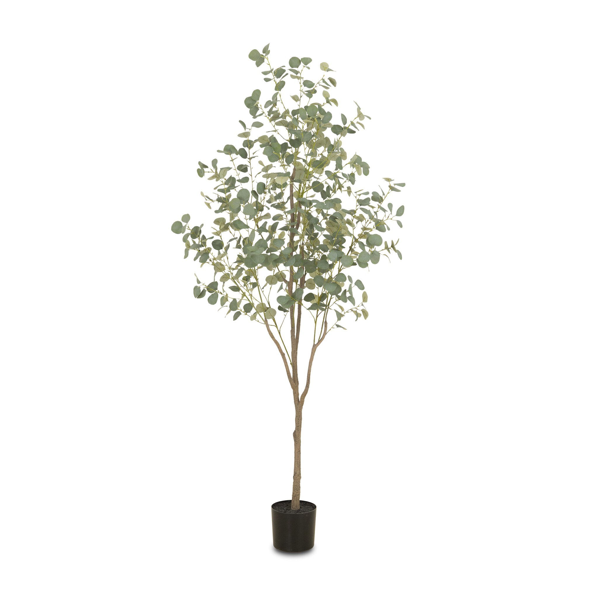 Faux Eucalyptus Tree - Faux Eucalyptus Tree | 7'