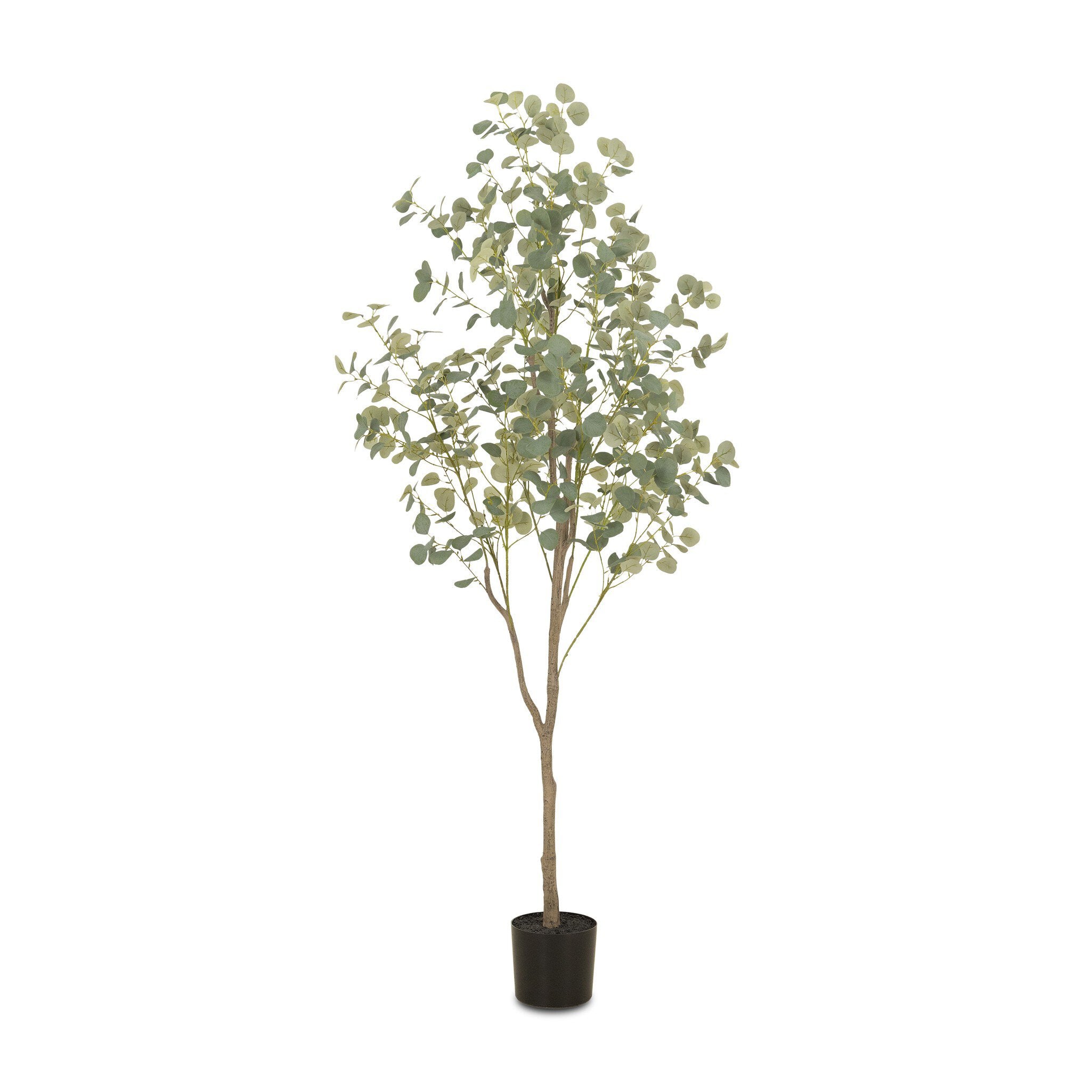Faux Eucalyptus Tree - Faux Eucalyptus Tree | 7'