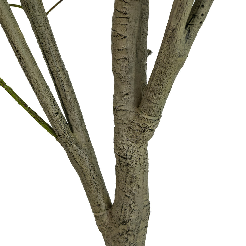 Faux Eucalyptus Tree - Faux Eucalyptus Tree | 9'