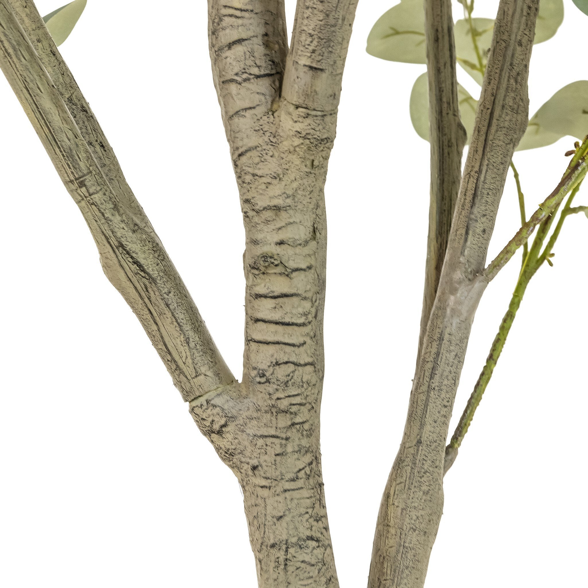 Faux Eucalyptus Tree - Faux Eucalyptus Tree | 9'