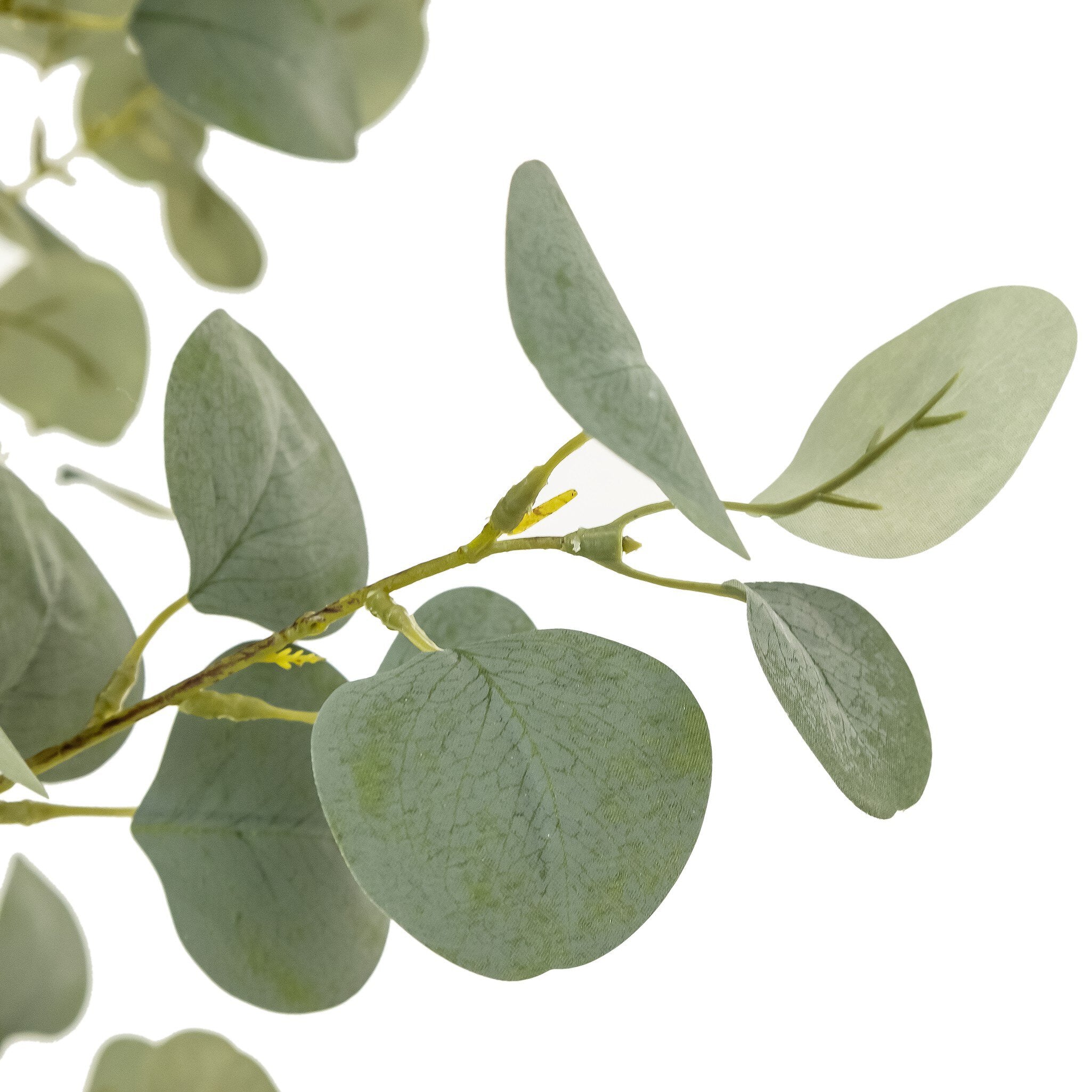 Faux Eucalyptus Tree - Faux Eucalyptus Tree | 9'