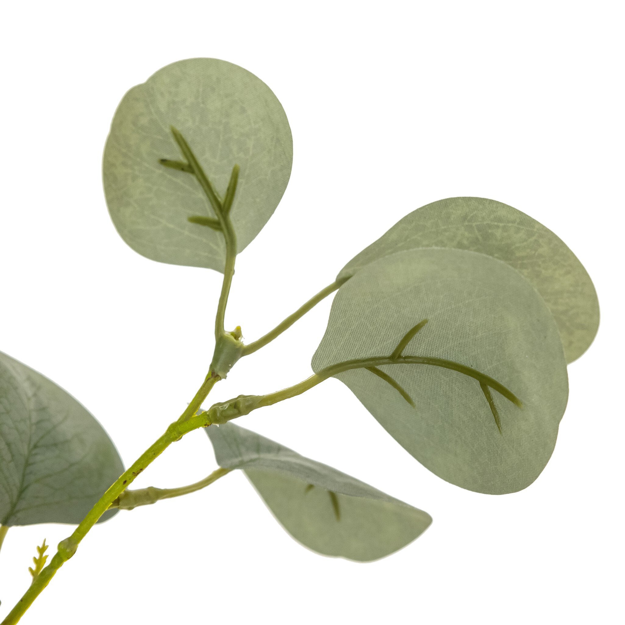 Faux Eucalyptus Tree - Faux Eucalyptus Tree | 9'