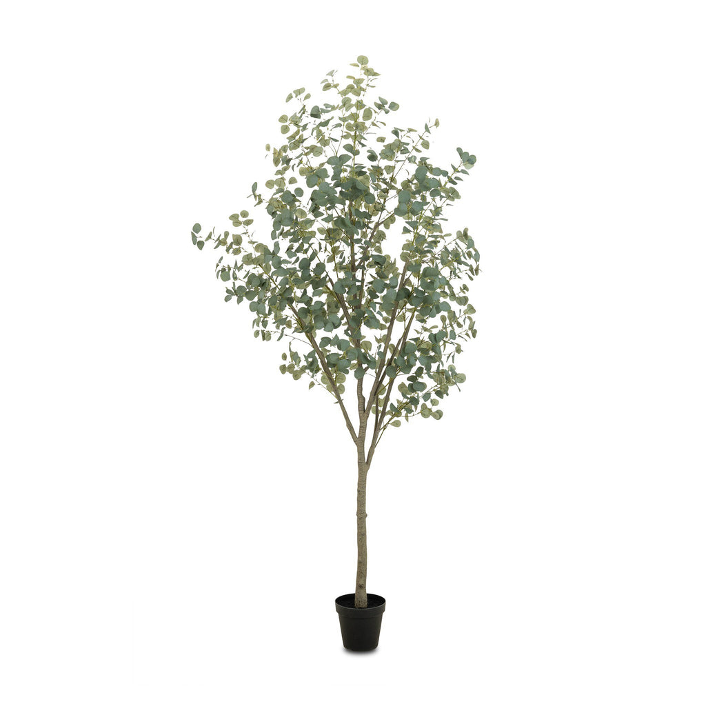 Faux Eucalyptus Tree - Faux Eucalyptus Tree | 9'