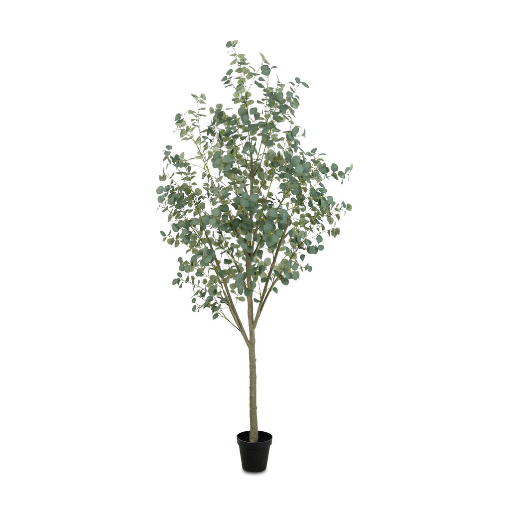 Faux Eucalyptus Tree - Faux Eucalyptus Tree | 9'