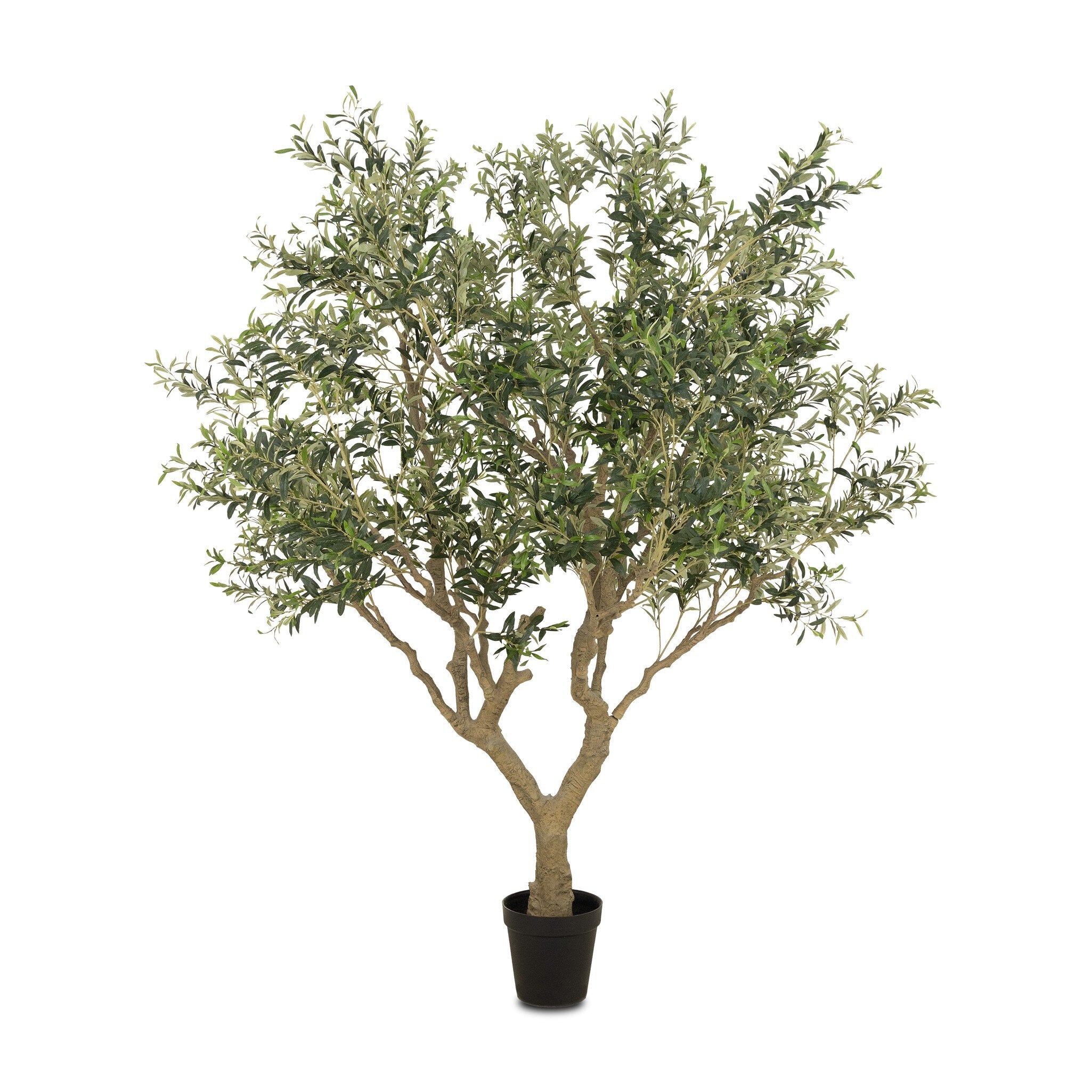 Faux Olive Tree Wide - Faux Olive Tree Wide