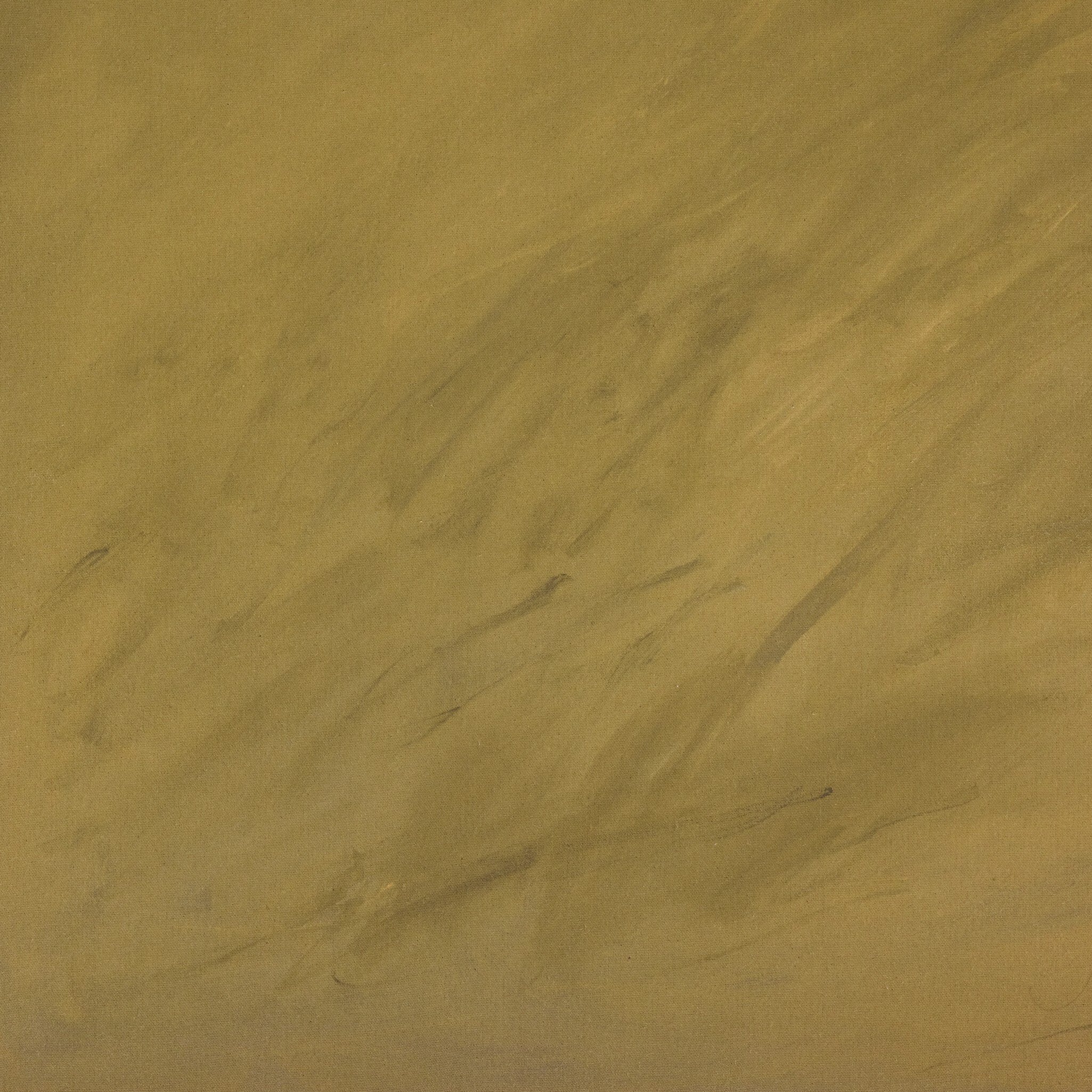 Shaded by Melody Joy McMunn - Rustic Walnut Floater | 48" x 36"