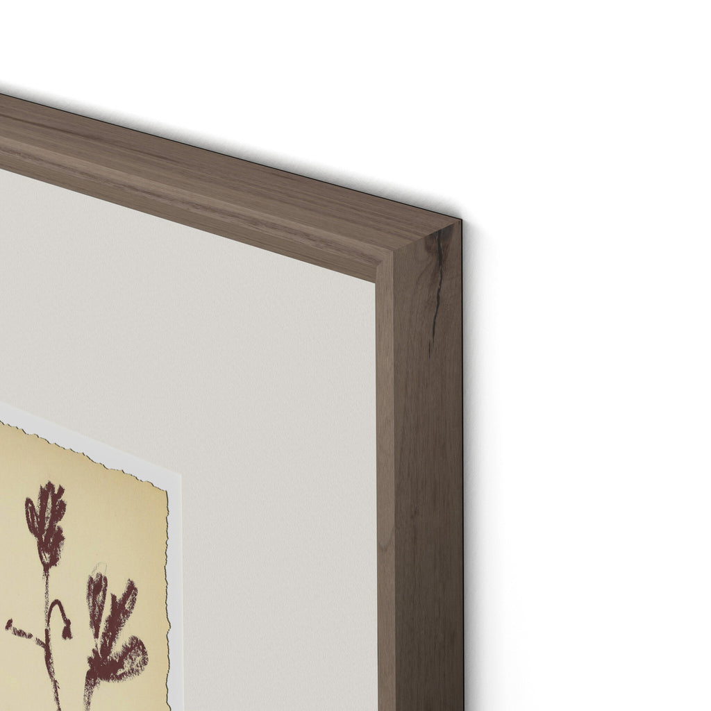 Meadow Rue No.3 by Shaina Page - RoofTop 1.5 Rustic Walnut