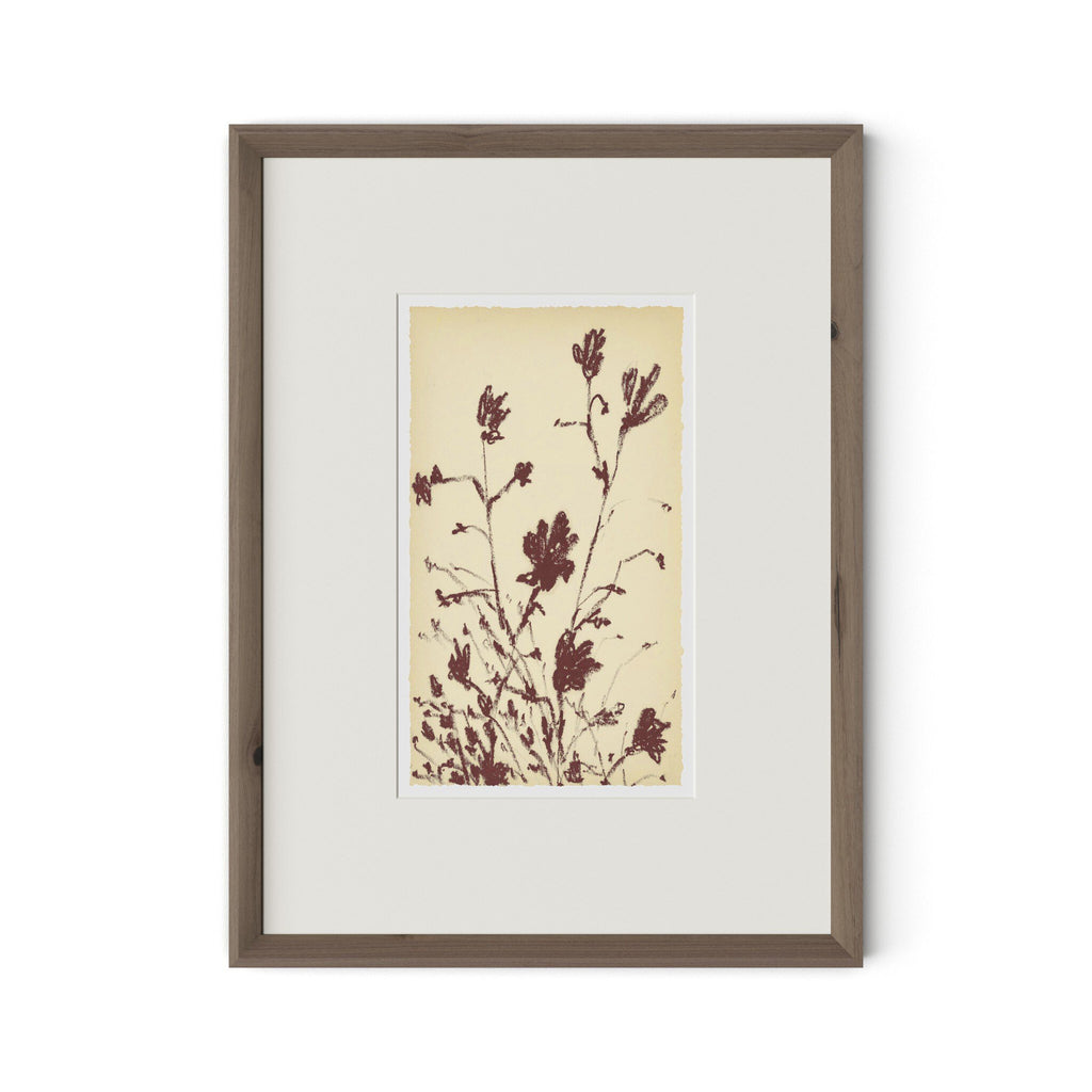 Meadow Rue No.3 by Shaina Page - RoofTop 1.5 Rustic Walnut