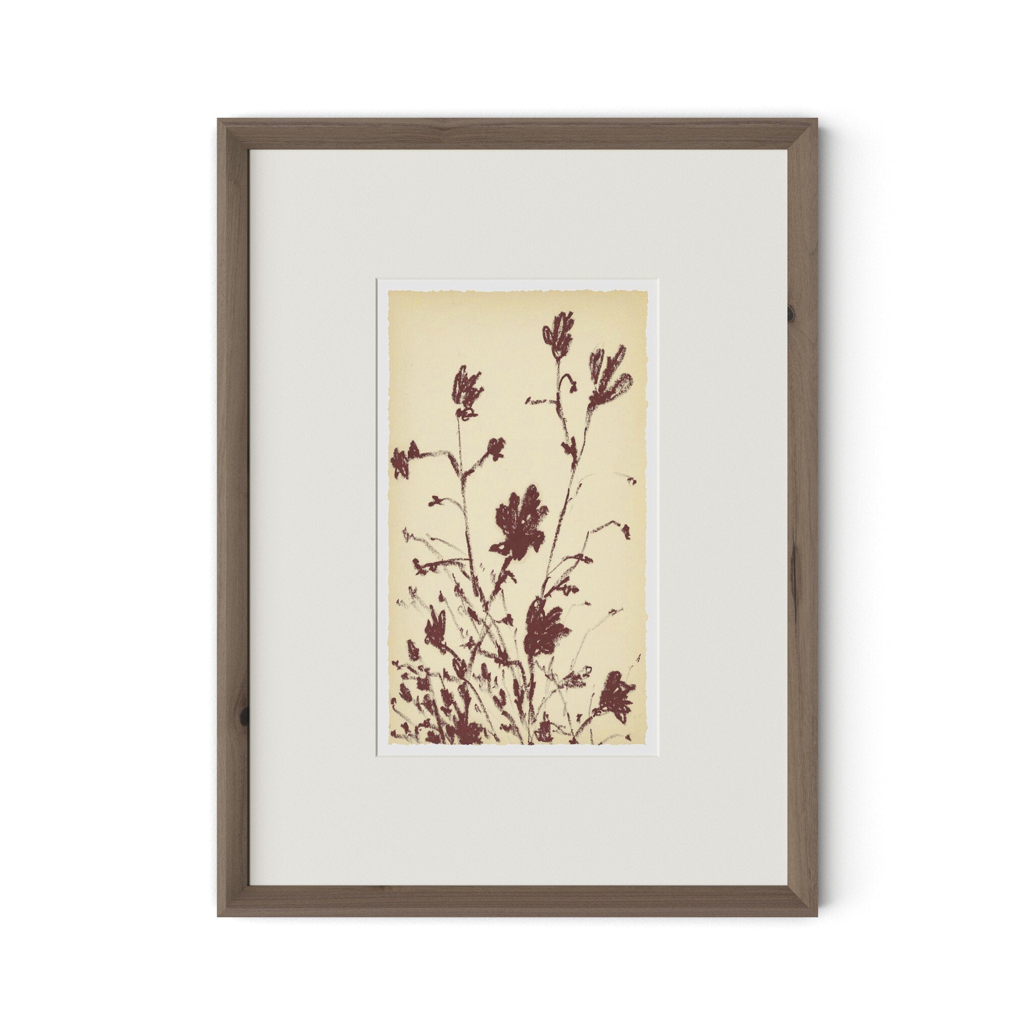 Meadow Rue No.3 by Shaina Page - RoofTop 1.5 Rustic Walnut