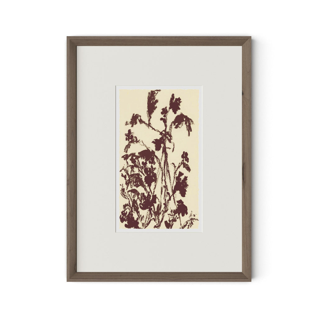 Meadow Rue No.5 by Shaina Page - RoofTop 1.5 Rustic Walnut