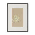 Botanical II by Brittany Smith - 1.0 Brimfield Black | 18" x 24"
