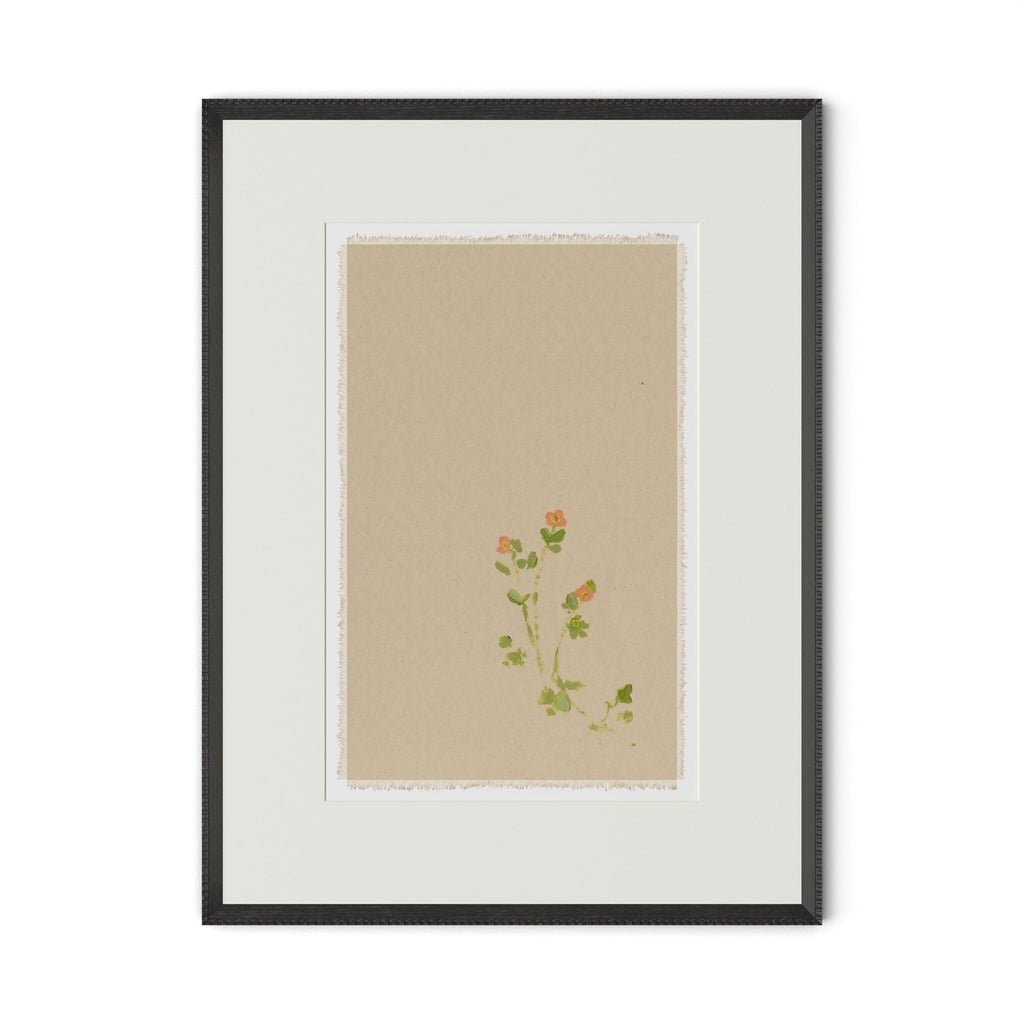 Botanical IV by Brittany Smith - 1.0 Brimfield Black | 18" x 24"