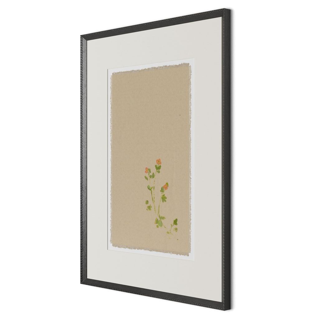 Botanical IV by Brittany Smith - 1.0 Brimfield Black | 24" x 32"