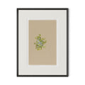 Botanical V by Brittany Smith - 1.0 Brimfield Black | 18" x 24"